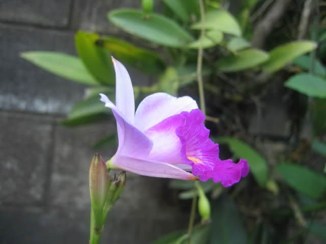of7e2u.jpg