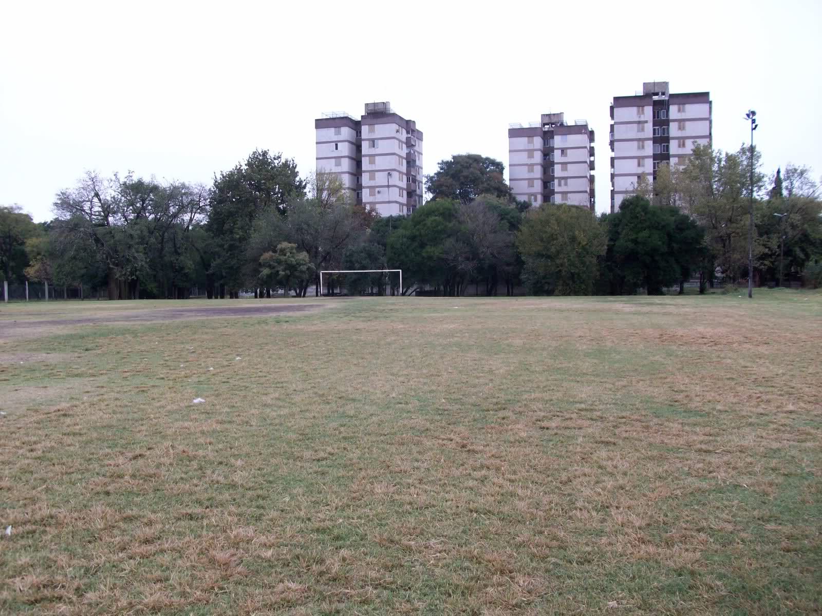 ofq7x4.jpg