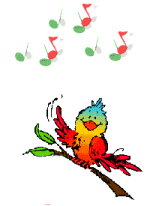 oiseau_branche.gif