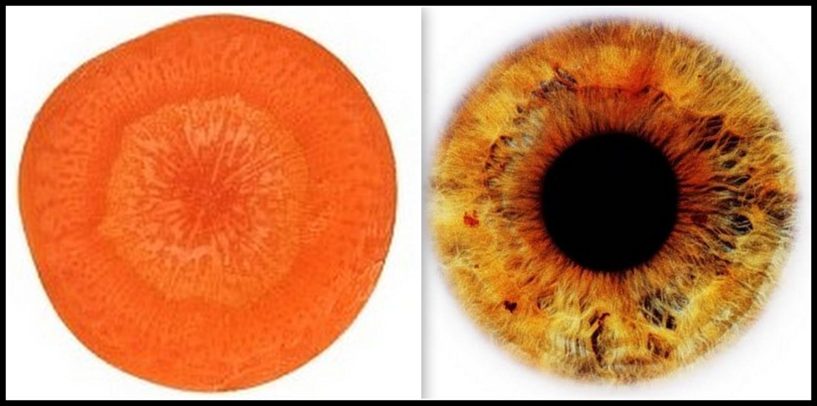 ojo.jpg