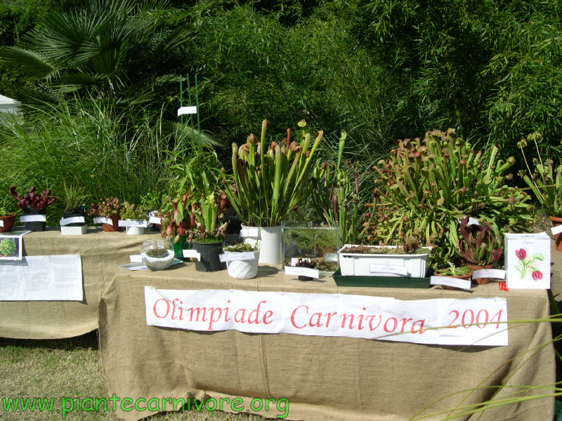 olimpiade2004.jpg
