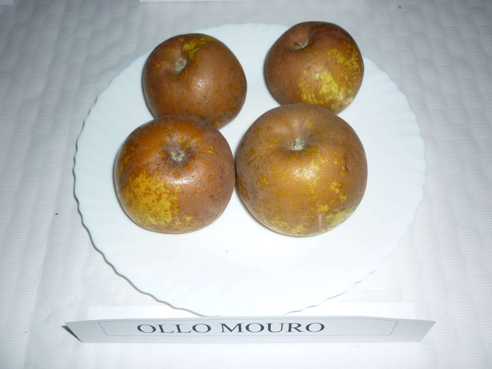 Ollo%2Bmouro.JPG