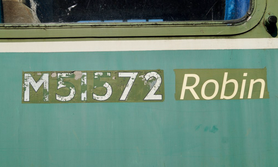 OM62P58.png