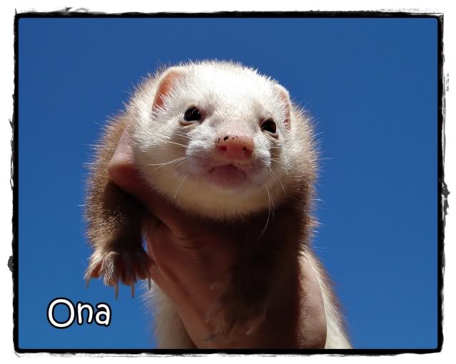 ona1.jpg