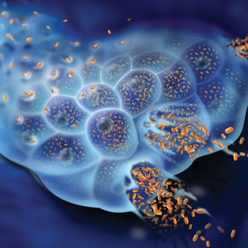oncolytic-virus-in-action.jpg
