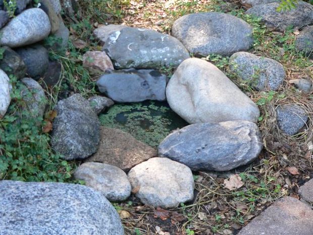 One-Hour-Trash-Can-Fish-Pond.jpg