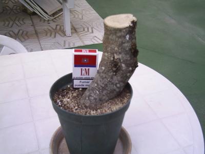 opt1184846040c.jpg