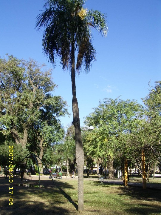 opt1200362395i.jpg