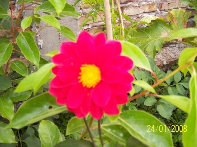 opt1201571763u.jpg