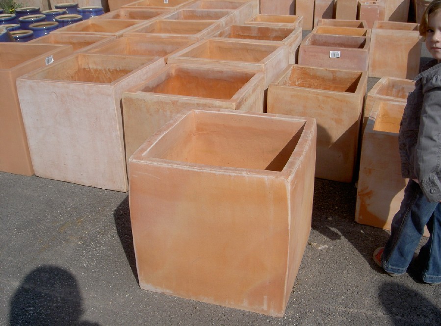 opt1204627914u.jpg