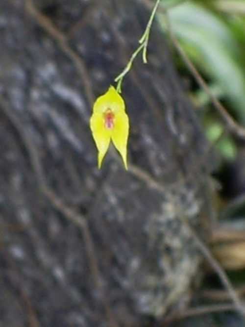 opt1204672056s.JPG