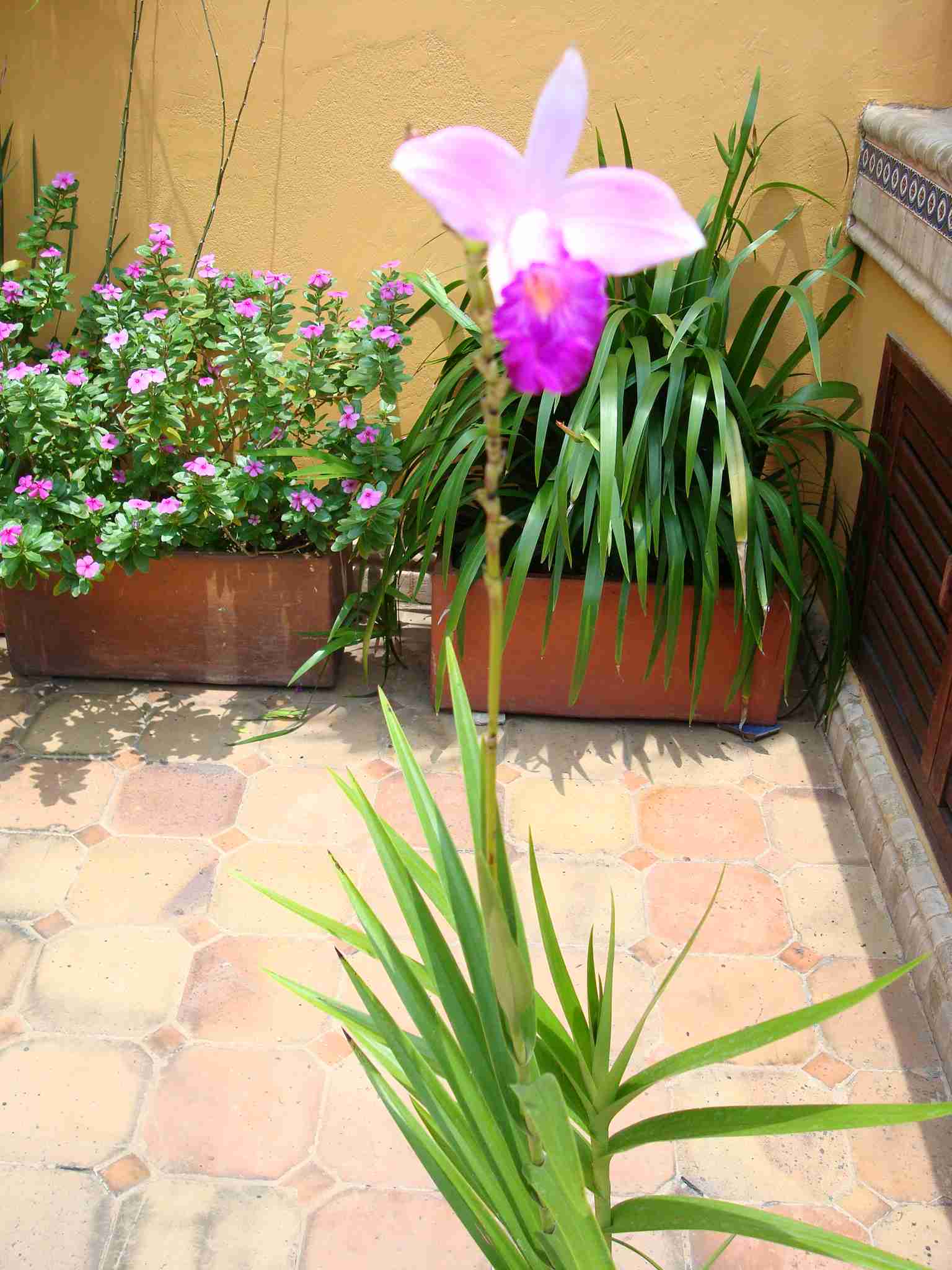 opt1204739352u.jpg