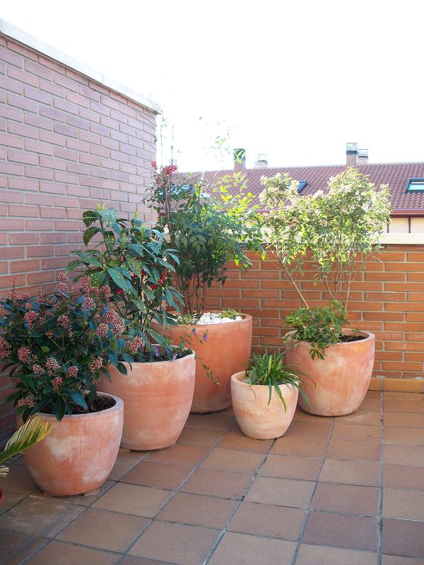 opt1207171037j.JPG
