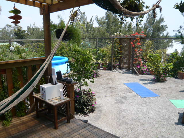 opt1209762935q.JPG