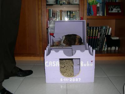 opt1212097379x.jpg