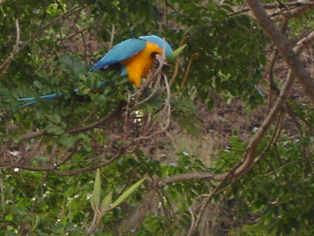 opt1212107437o.JPG