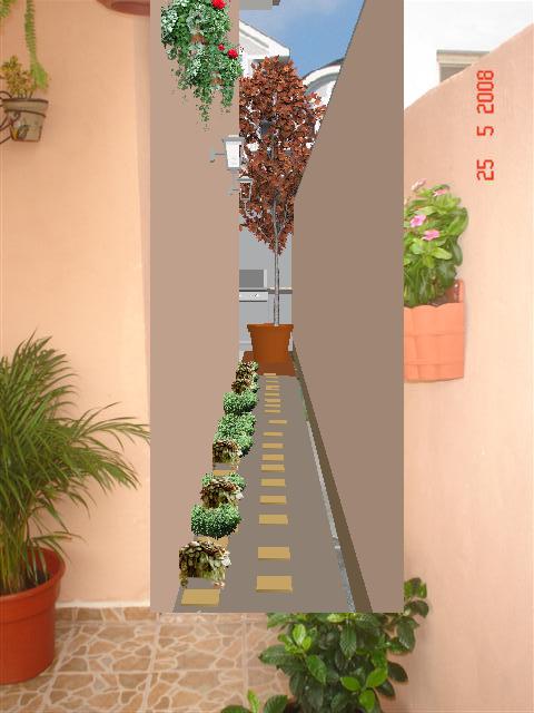 opt1212180796c.JPG