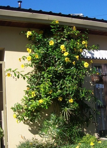 opt1212203642q.jpg