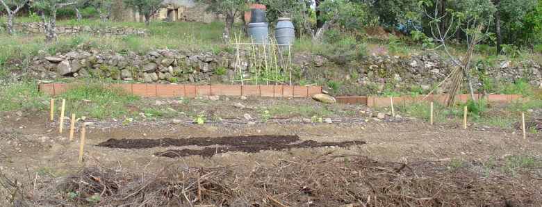 opt1212524743i.JPG
