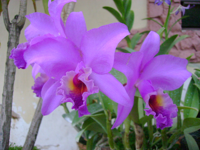 opt1212604003o.JPG