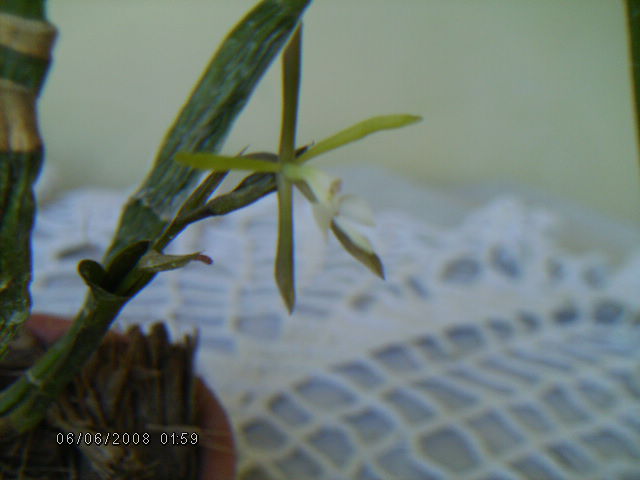 opt1212780646y.JPG