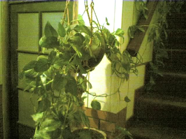 opt1212798822f.jpg
