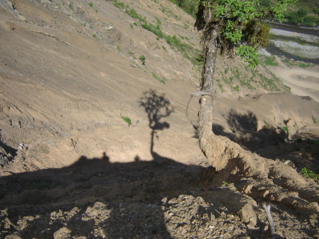 opt1212860924u.JPG