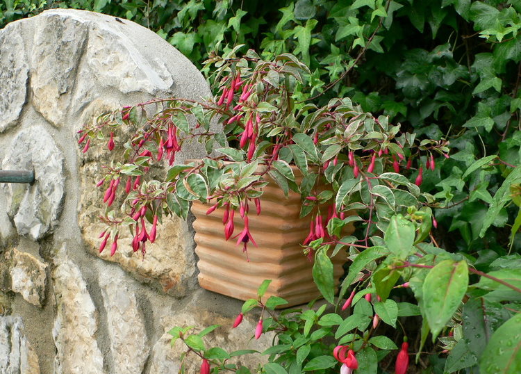 opt1215024259c.JPG