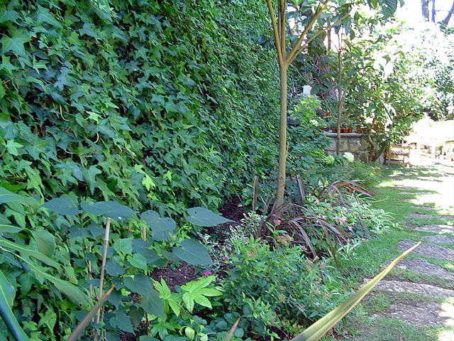 opt1220129633z.JPG