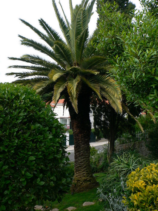 opt1220129854x.JPG