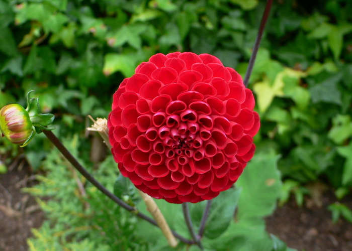 opt1220130215q.JPG