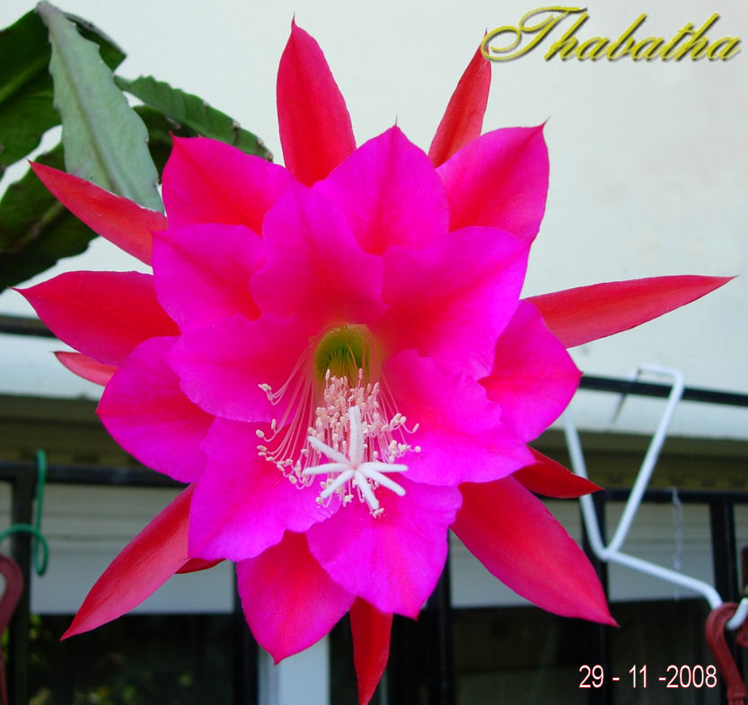 opt1229548423d.jpg