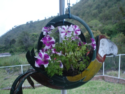 opt1230622055a.jpg
