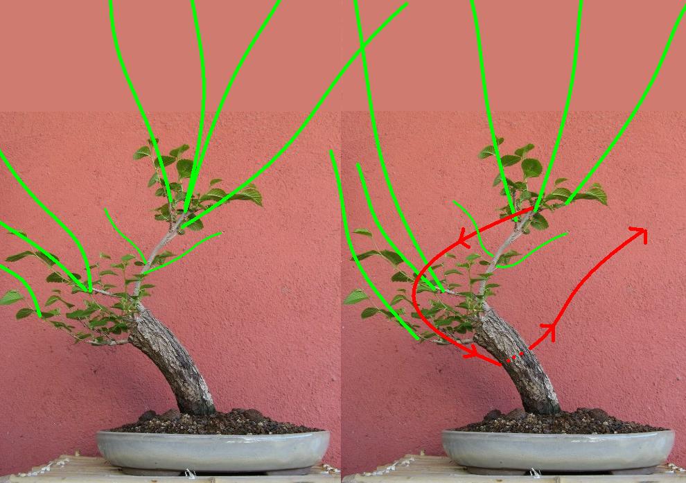 opt1238088623d.JPG