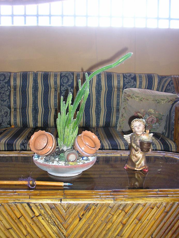 opt1238470634s.JPG