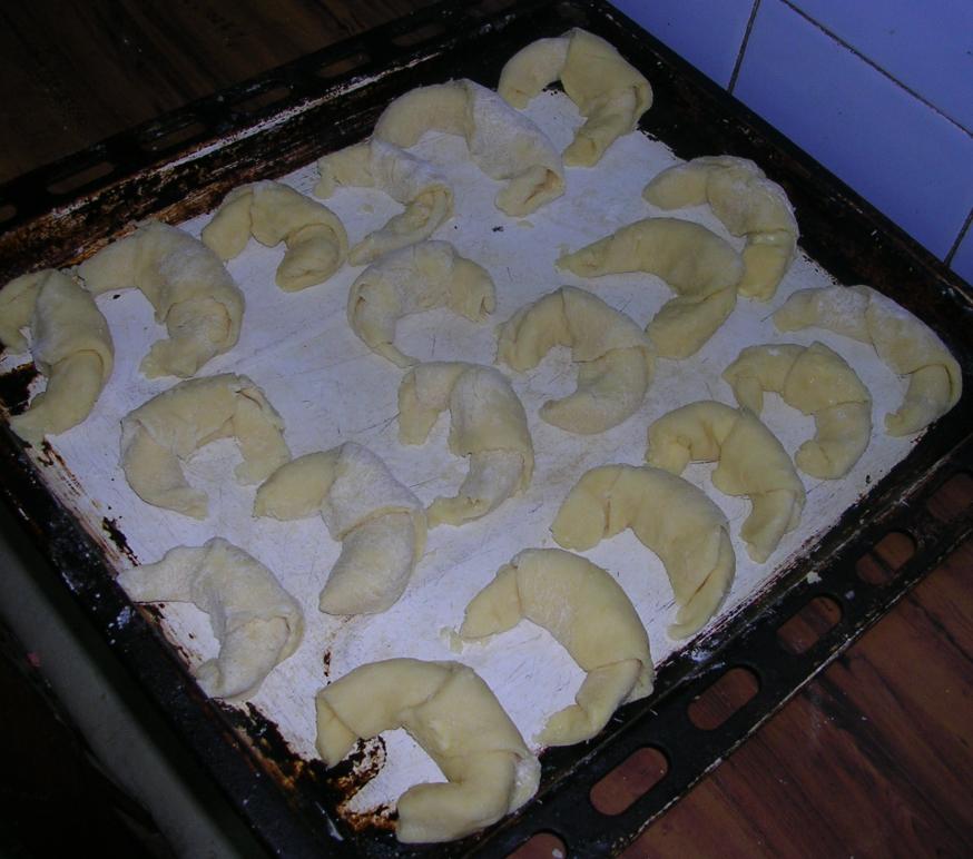 opt1240195025c.JPG