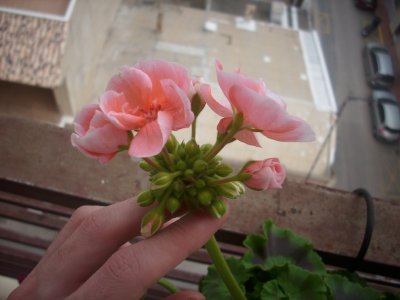 opt1241823022e.JPG