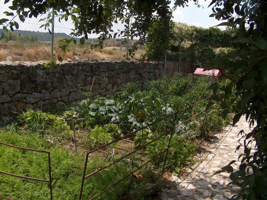 opt1241851377u.jpg