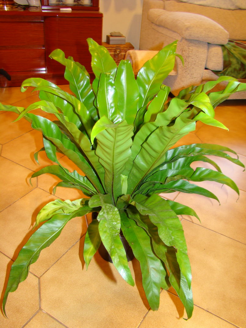 opt1242113537u.jpg