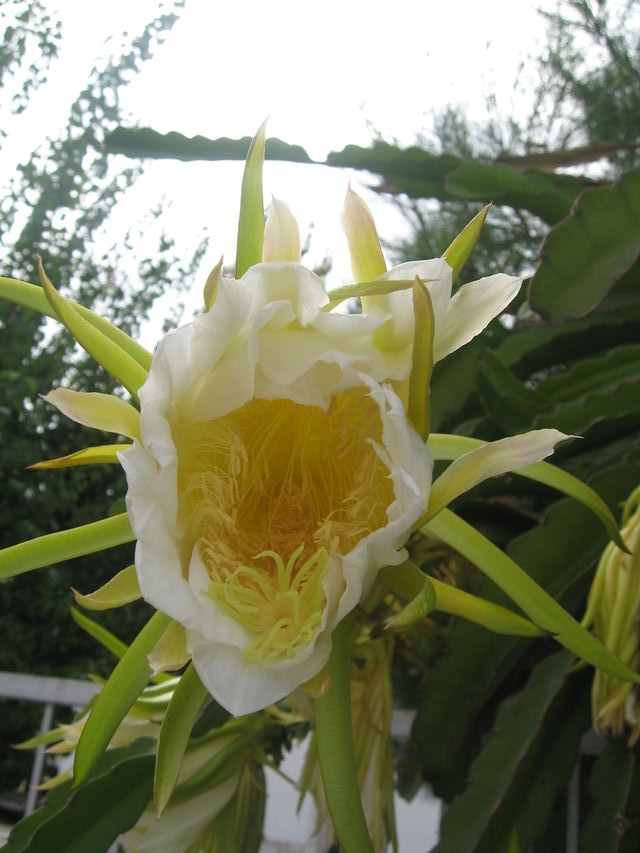 opt1249070324r.JPG