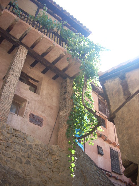 opt1250215846q.JPG