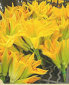 opt1253772308t.jpg