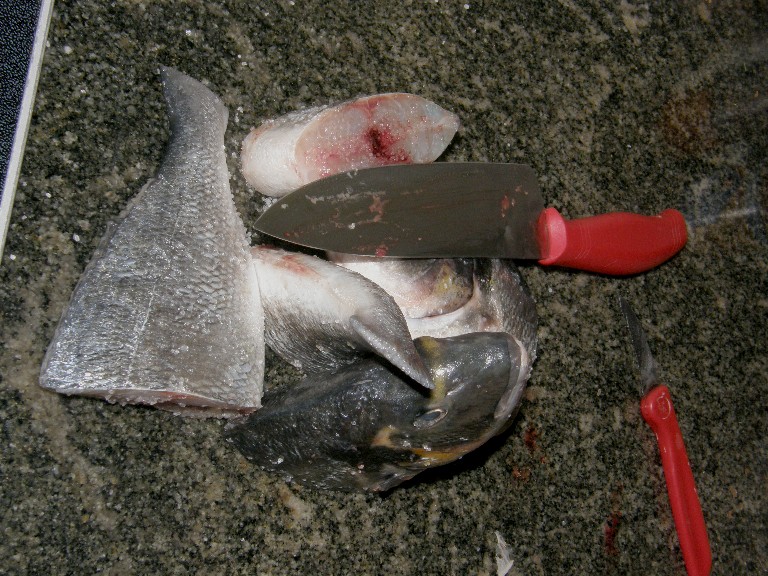 opt1254956234n.JPG