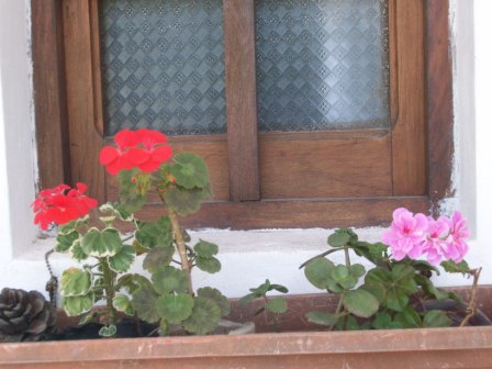 opt1255903437y.jpg