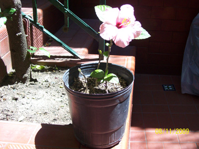 opt1257725349j.jpg