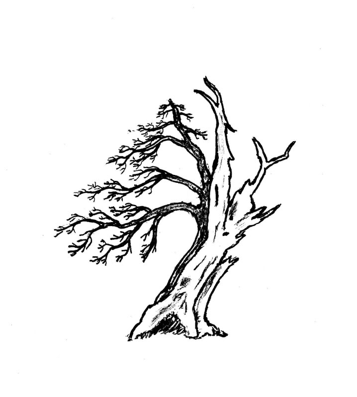 opt1260313619i.jpg