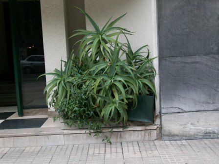 opt1261831241i.jpg