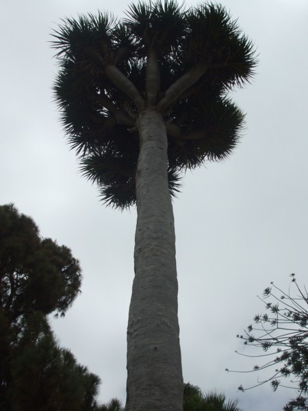 opt1280204803l.JPG