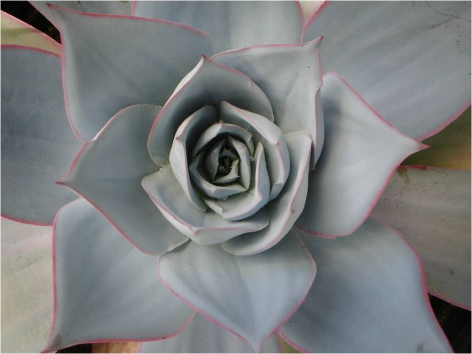opt1281090266b.jpg