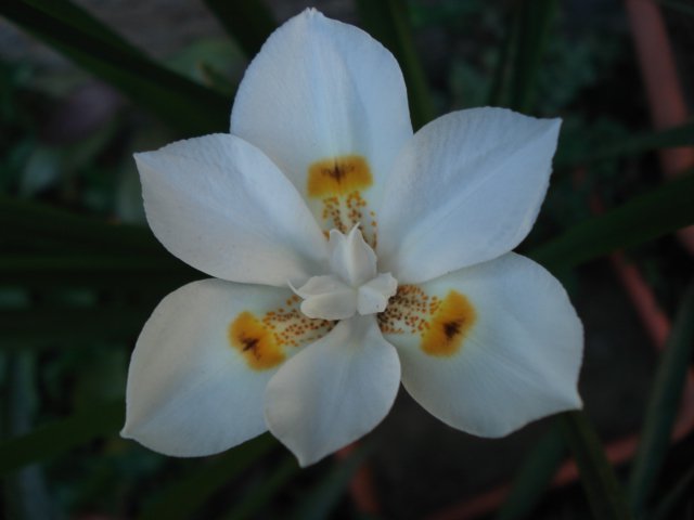 opt1294707520d.jpg